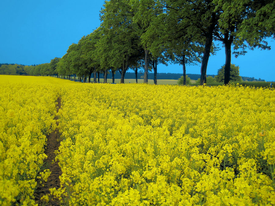 Insel Usedom