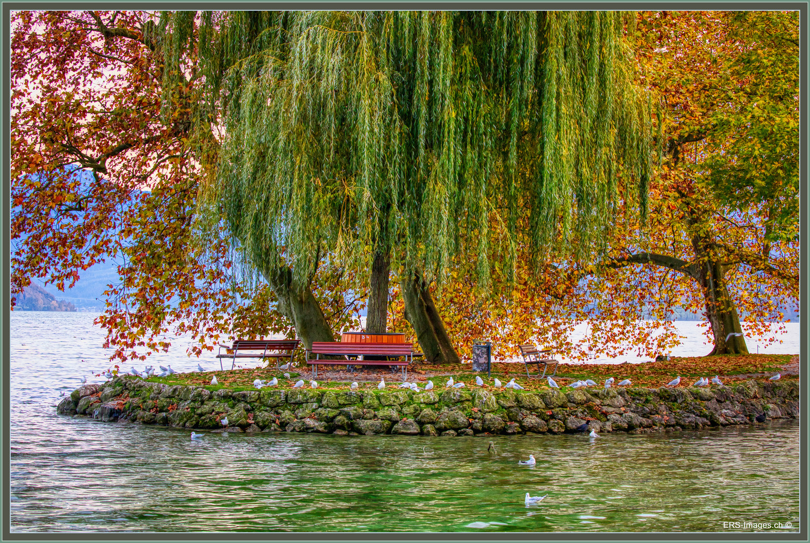 Insel Villette Cham 2022-11-08 224 HDR ©