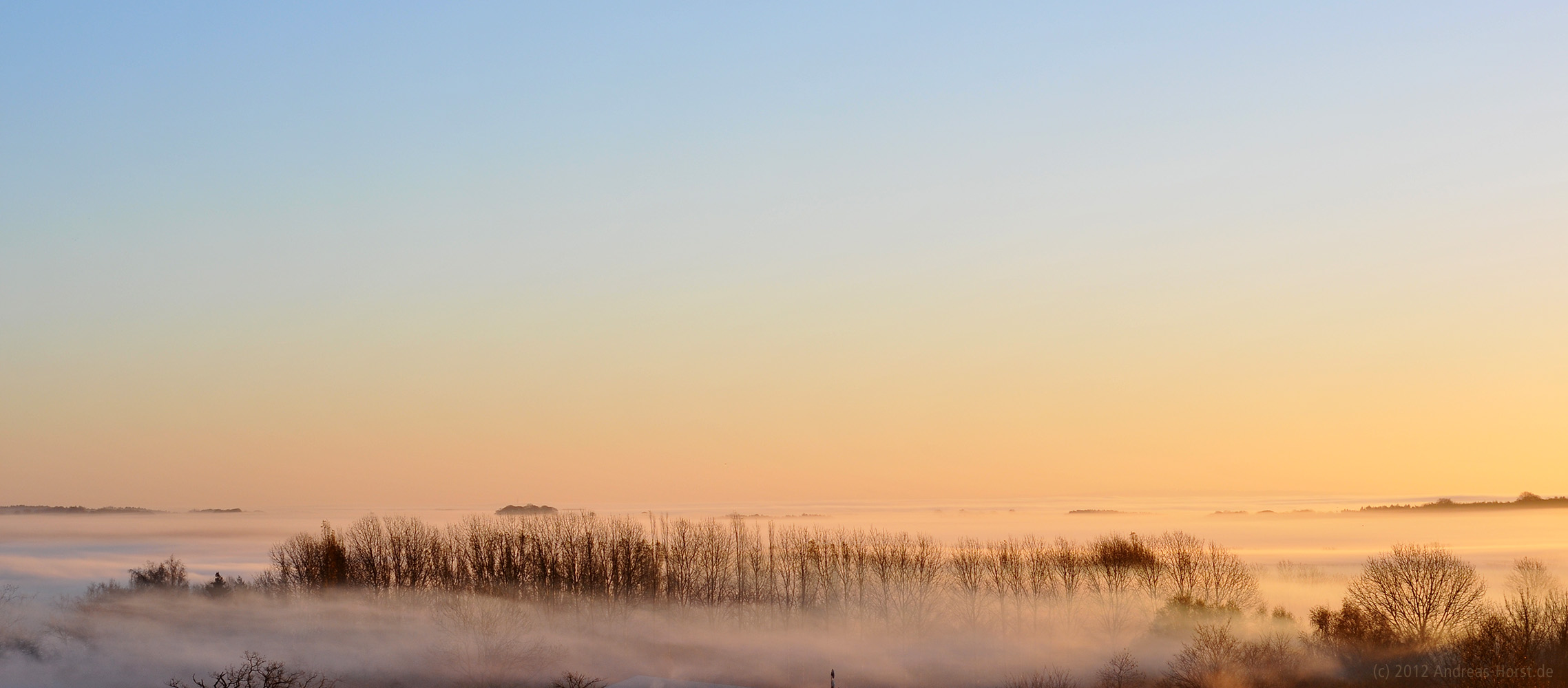 Insel Vilm im Nebel