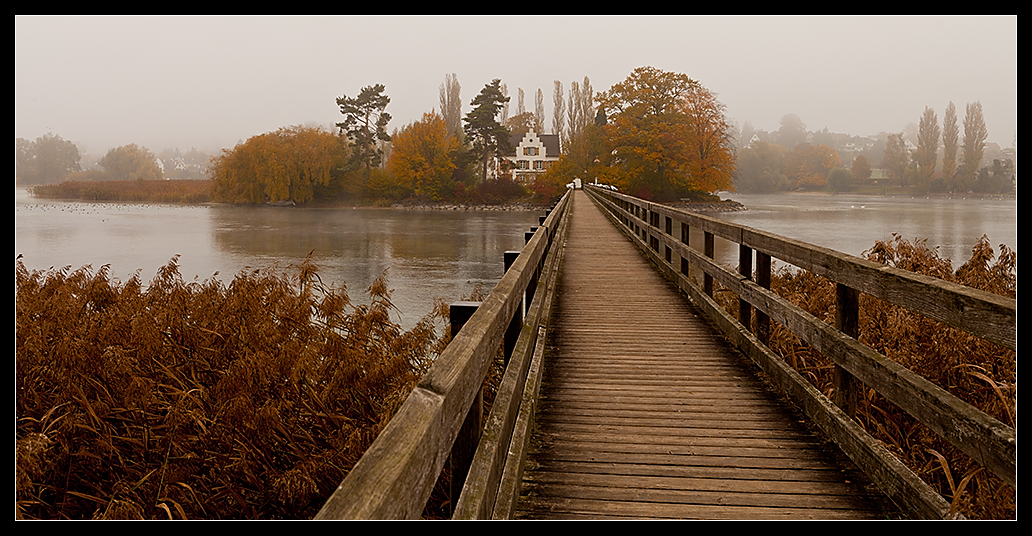 Insel Werd im Nebel