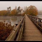 Insel Werd im Nebel