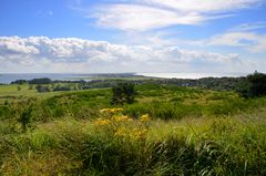 Inselblick August