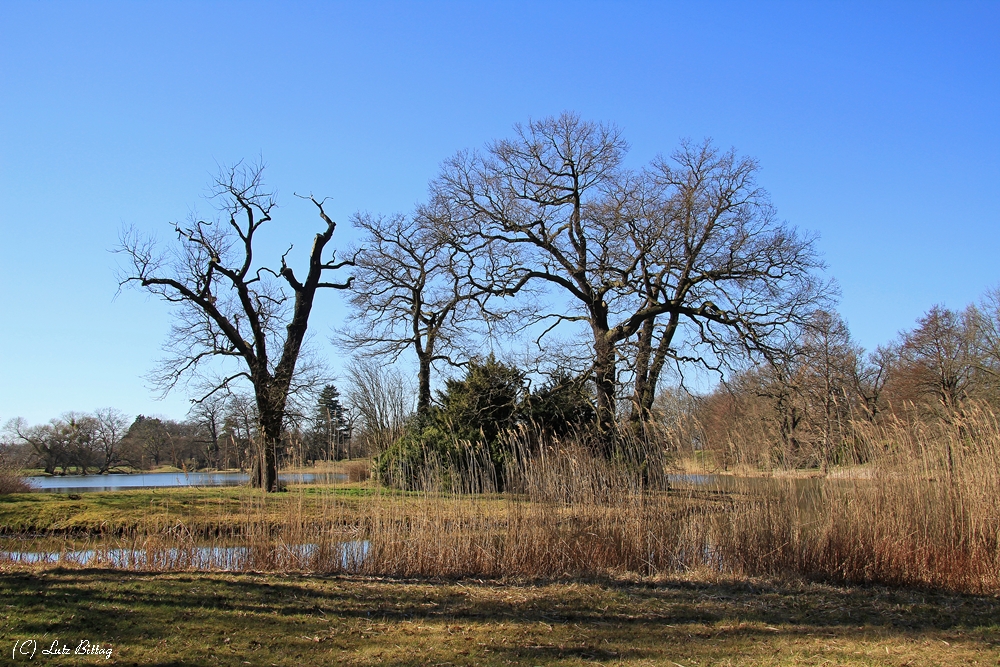 Inselblick