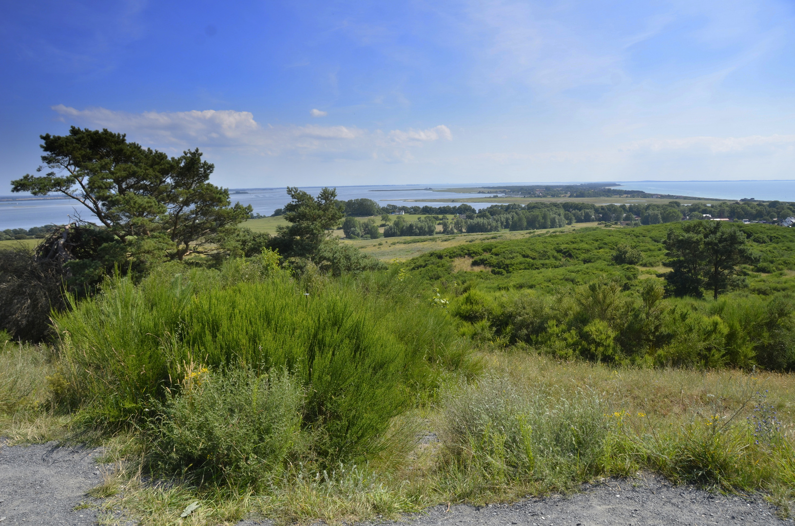 Inselblick im Juli 