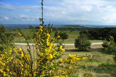 Inselblick im Mai