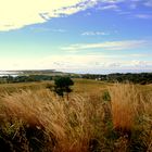 Inselblick im Oktober