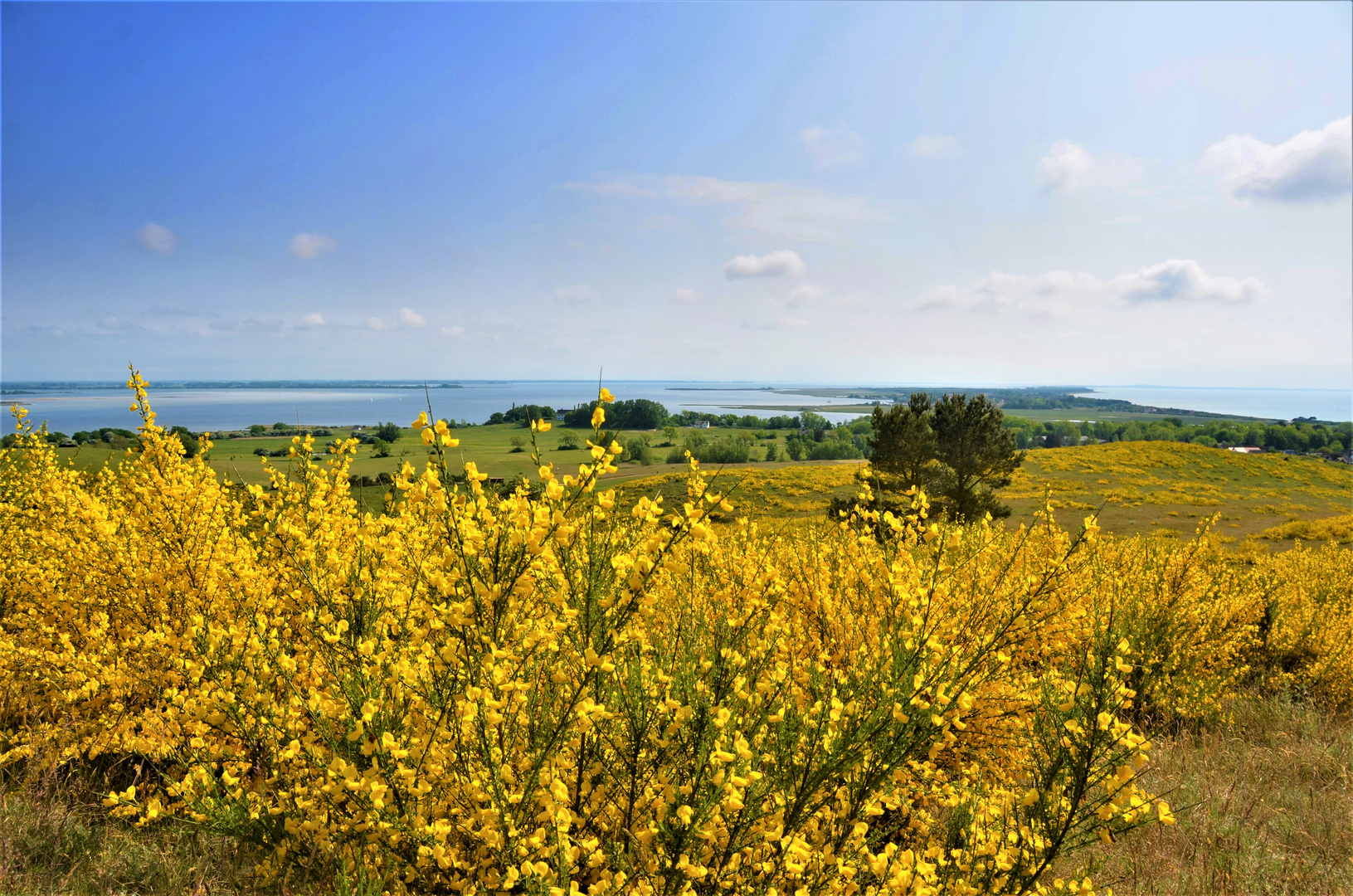 Inselblick Mai