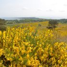 Inselblick zum träumen