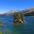 Inselchen bei Plaun da Lej im Silser See