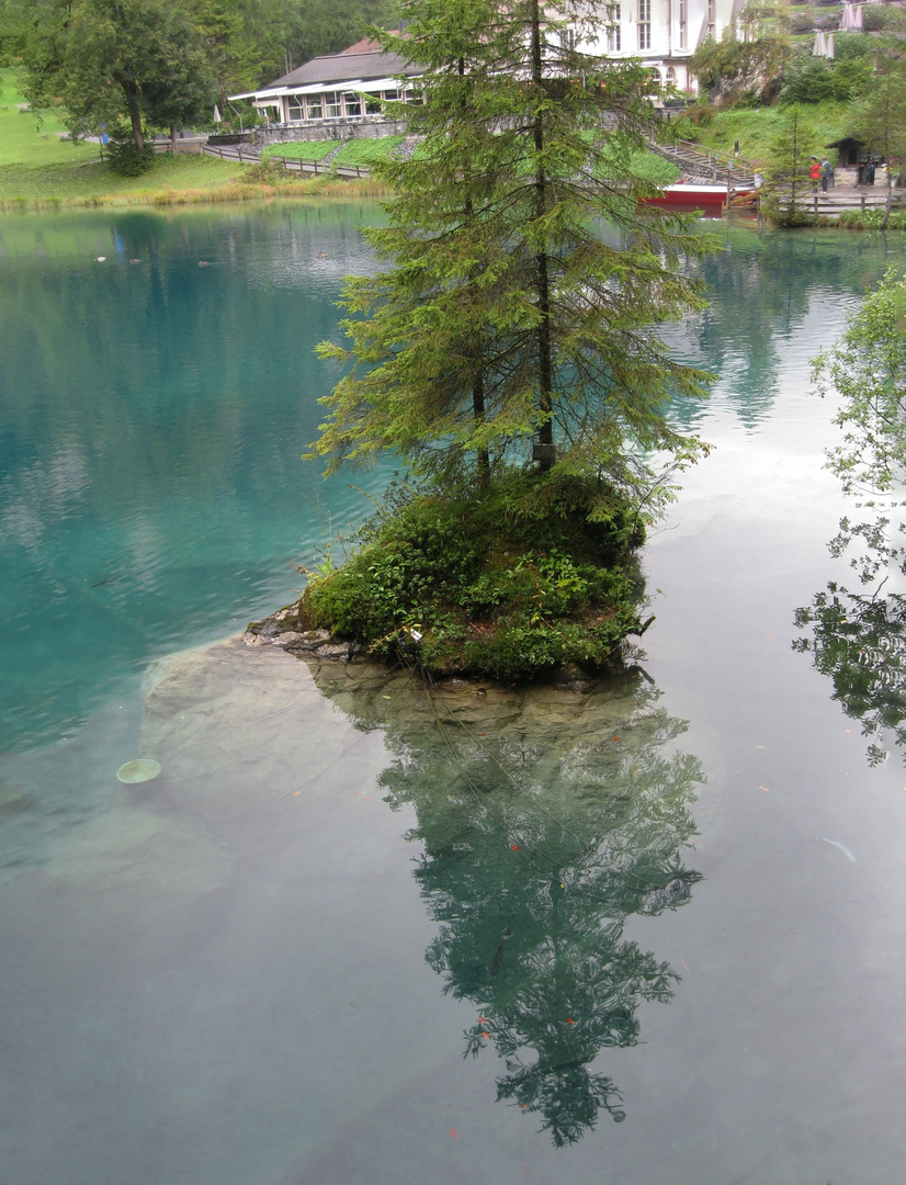 Inselchen im Blausee