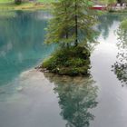 Inselchen im Blausee