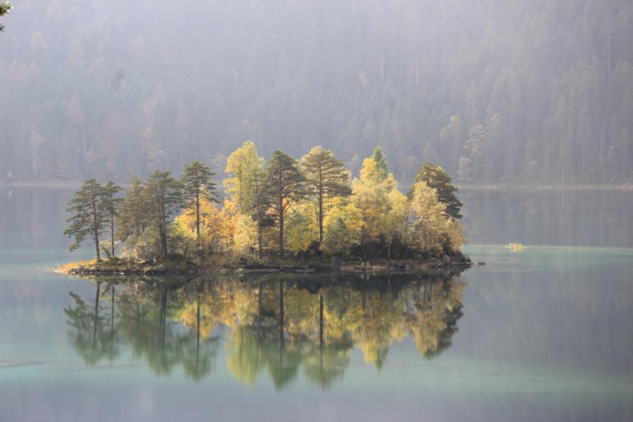 Inselchen im Morgennebel