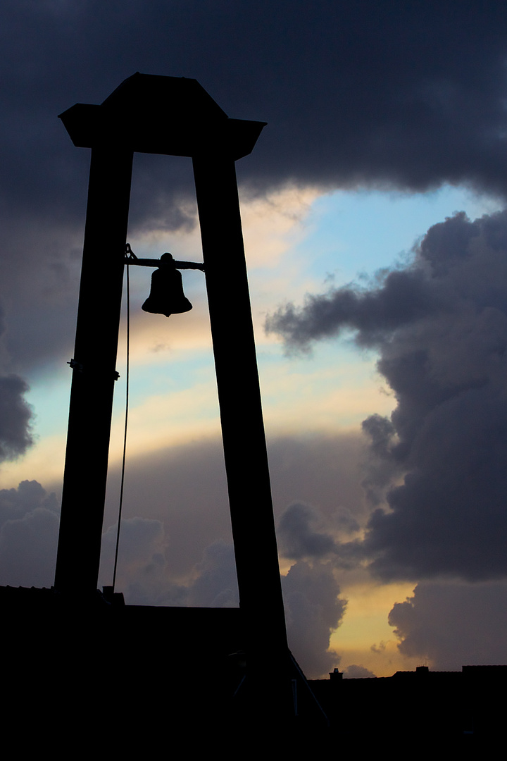 Inselglocke im Gegenlicht