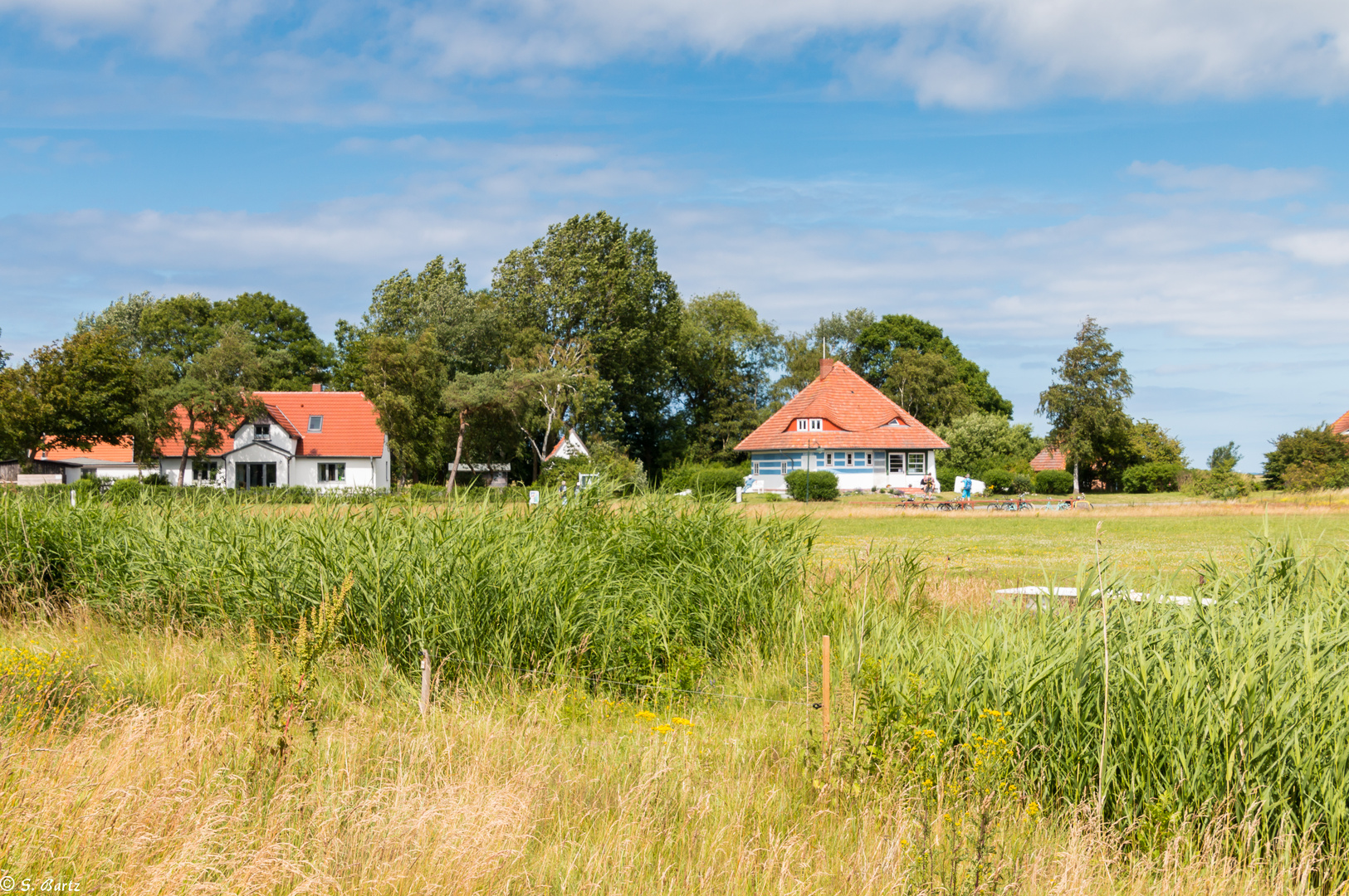 Inselidylle Hiddensee (4)