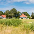 Inselidylle Hiddensee (4)