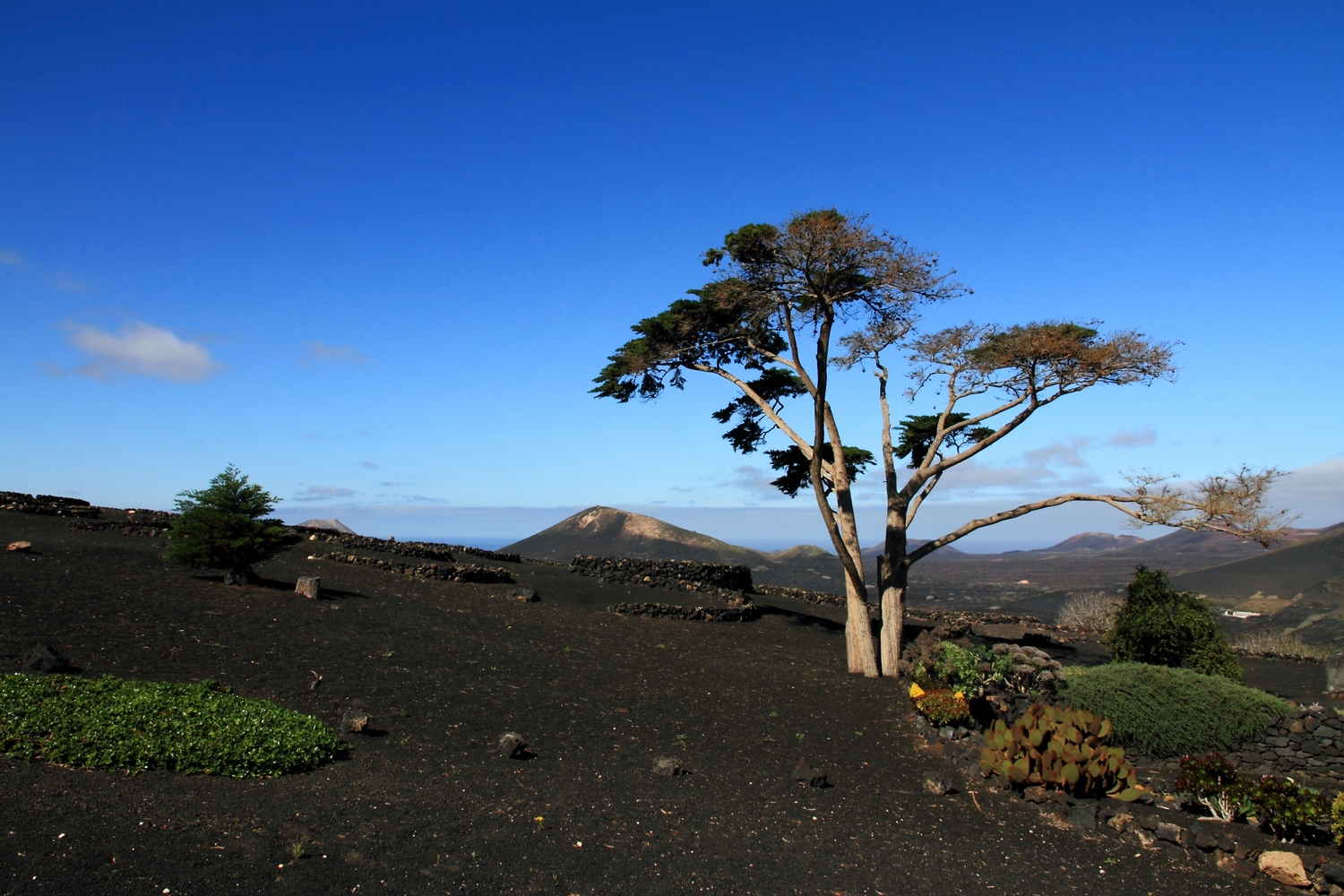 Inselimpression Lanzarote