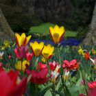 Insel_Mainau