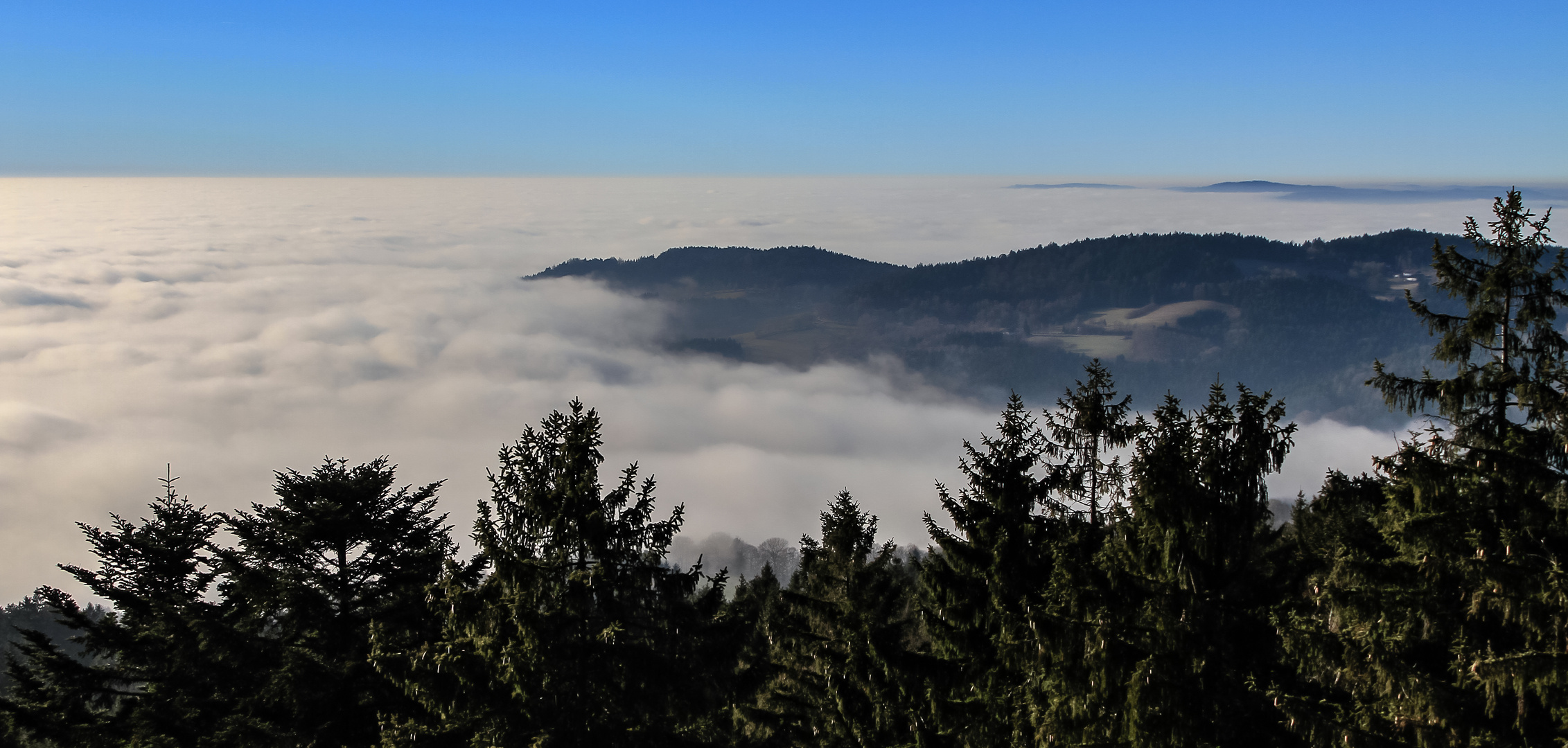 Inseln im Bayerwald