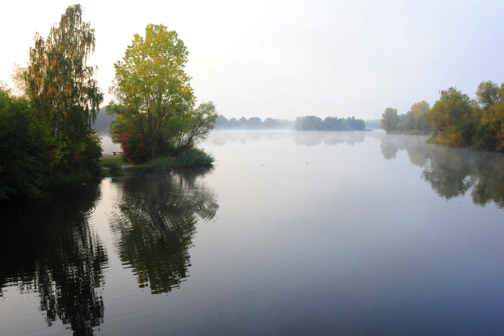 Inseln im Fluss