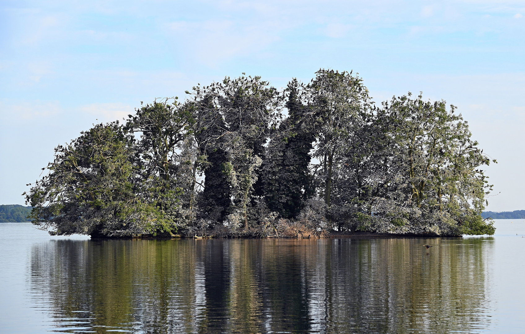 Inseln im Großen Plöner See