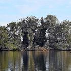 Inseln im Großen Plöner See