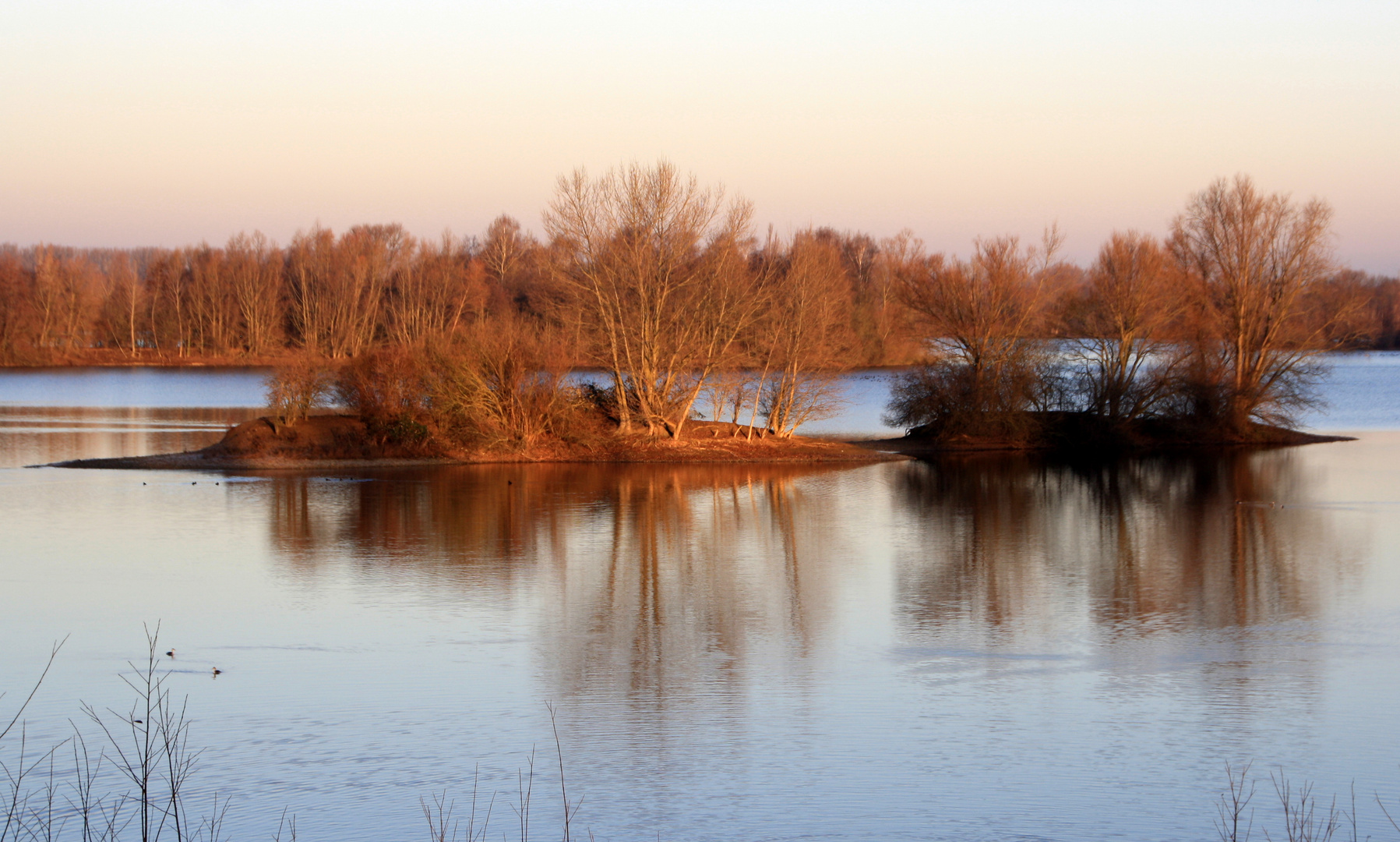 Inseln im Koldinger See