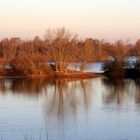 Inseln im Koldinger See