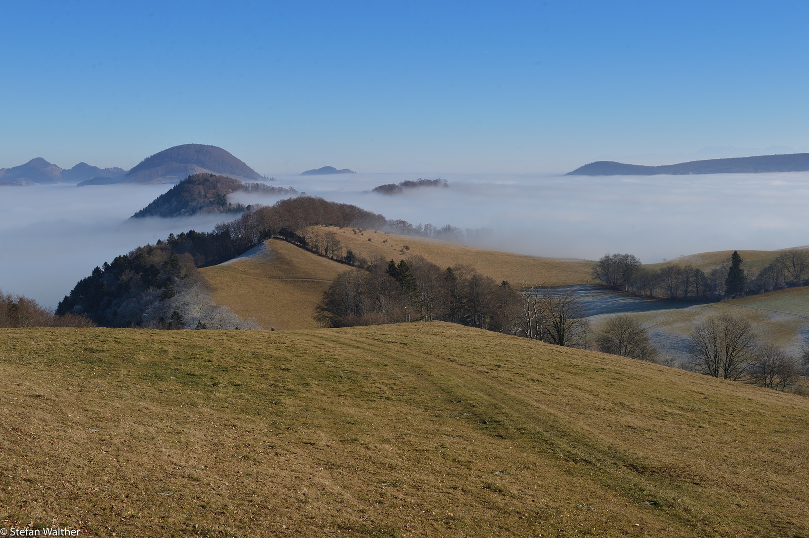 Inseln im "Meer"