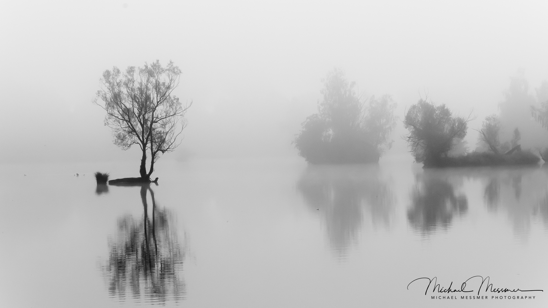 Inseln im Nebel