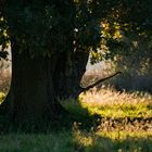 Inseln im Strom der Zeit