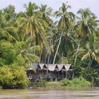 Inselparadies im Mekong