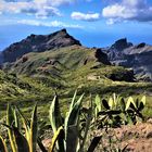 Inselrundfahrt Teneriffa - Buenavista del Norte