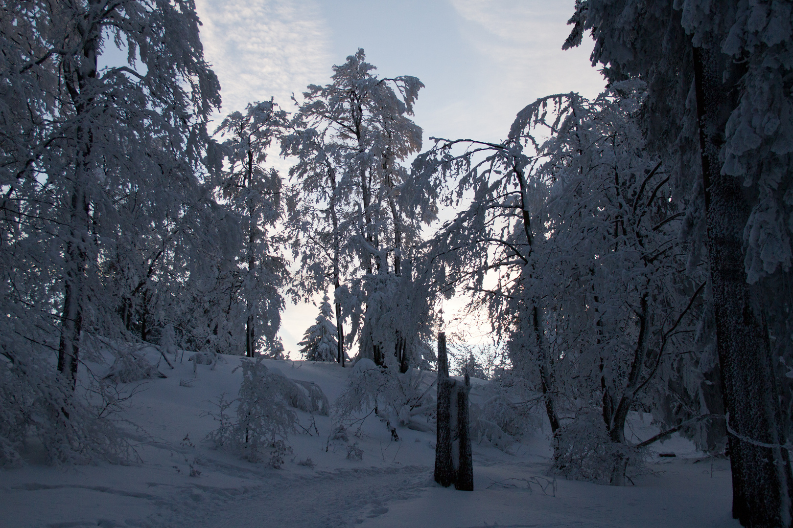 inselsberg im Winter 2012