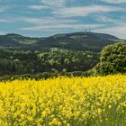 Inselsberg & Raps    Panorama