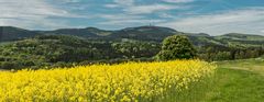 Inselsberg & Raps    Panorama