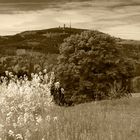 Inselsberg & Raps sepia