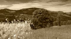 Inselsberg & Raps sepia