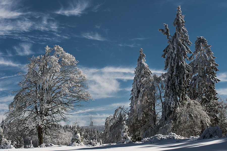 Inselsbergblick