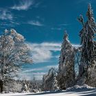 Inselsbergblick