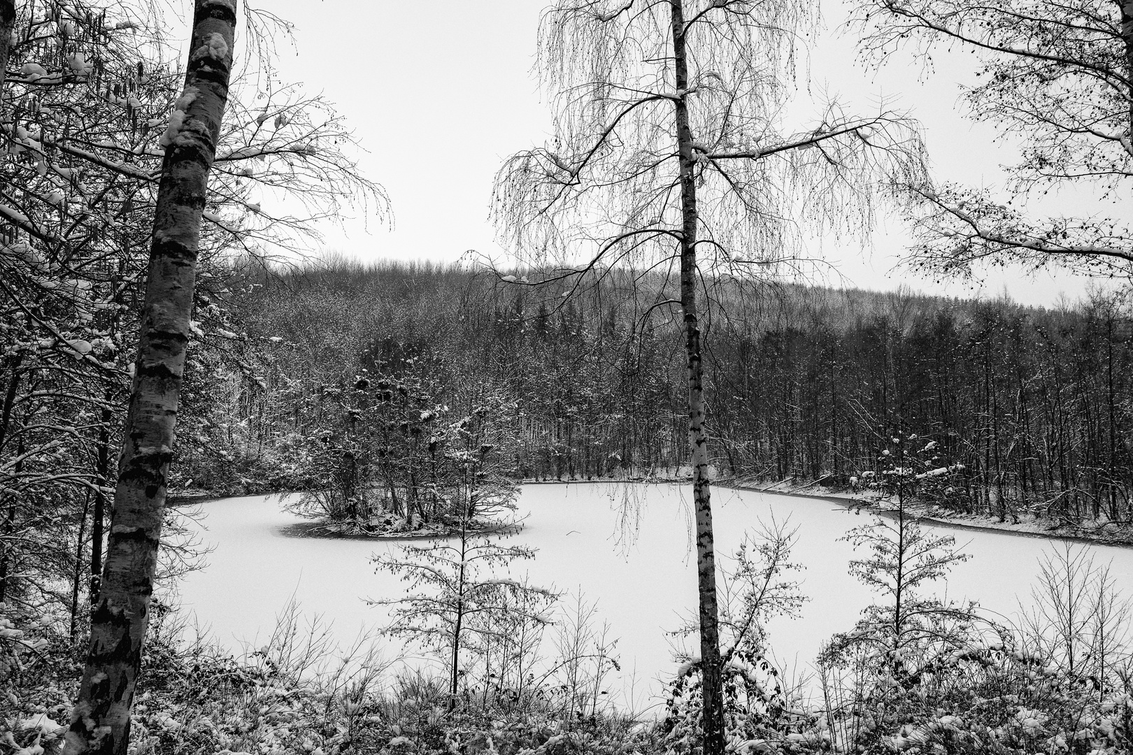 Inselsee: Winter