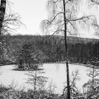 Inselsee: Winter