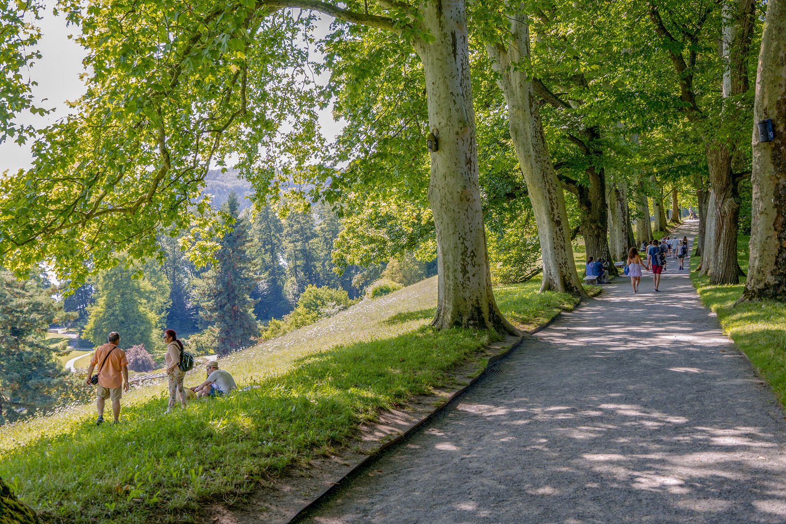 Inselspaziergang Juli 2020