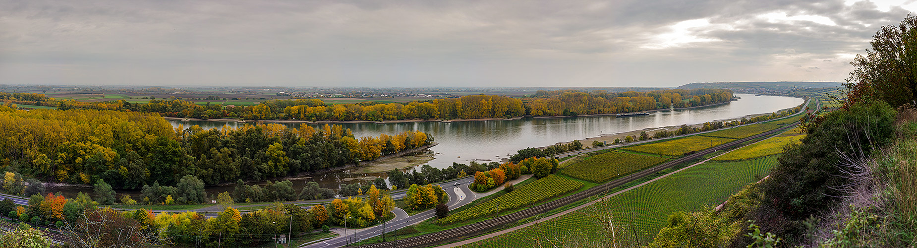 Inselspitze Kisselwörth in Herbstfarben