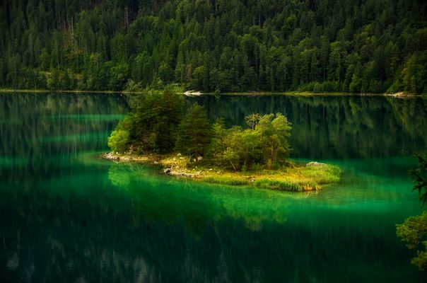 .... Inselwelt im Eibsee....