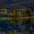 ....Inselwelt.....im Eibsee 