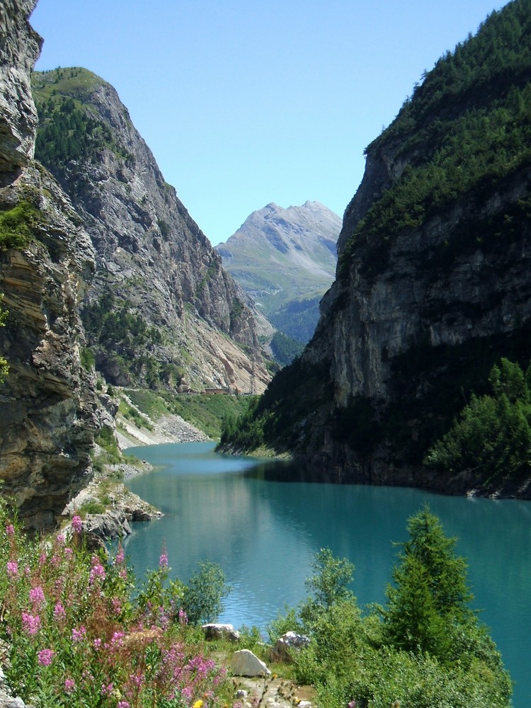 Insenatura del lago