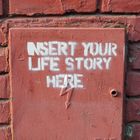 insert your life...