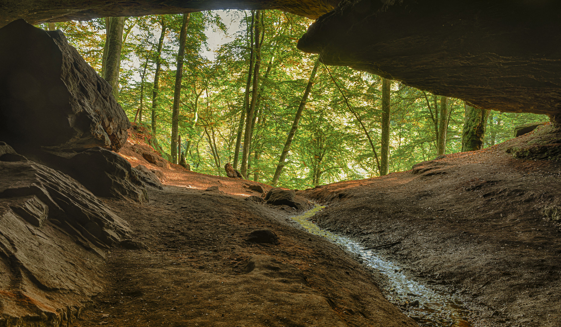 Inside a big bear's den