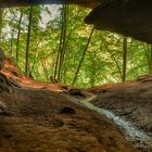 Inside a big bear's den