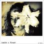 IT: Inside A Flower von Noemi Izzo